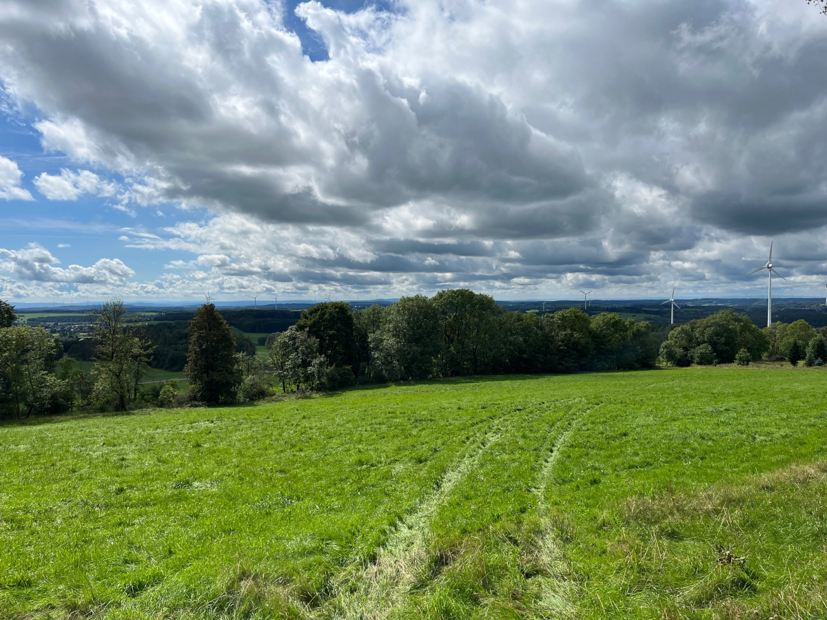 2023 09 02 Stein Neukirch 02